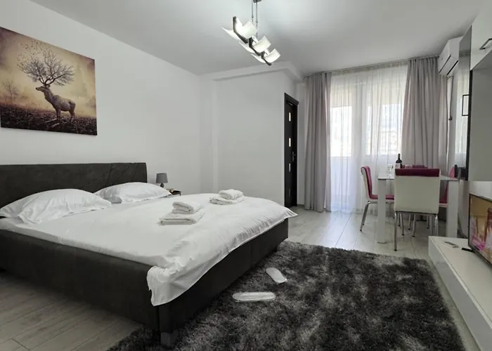 Luxury Studio Plaza M Drumul Taberei
