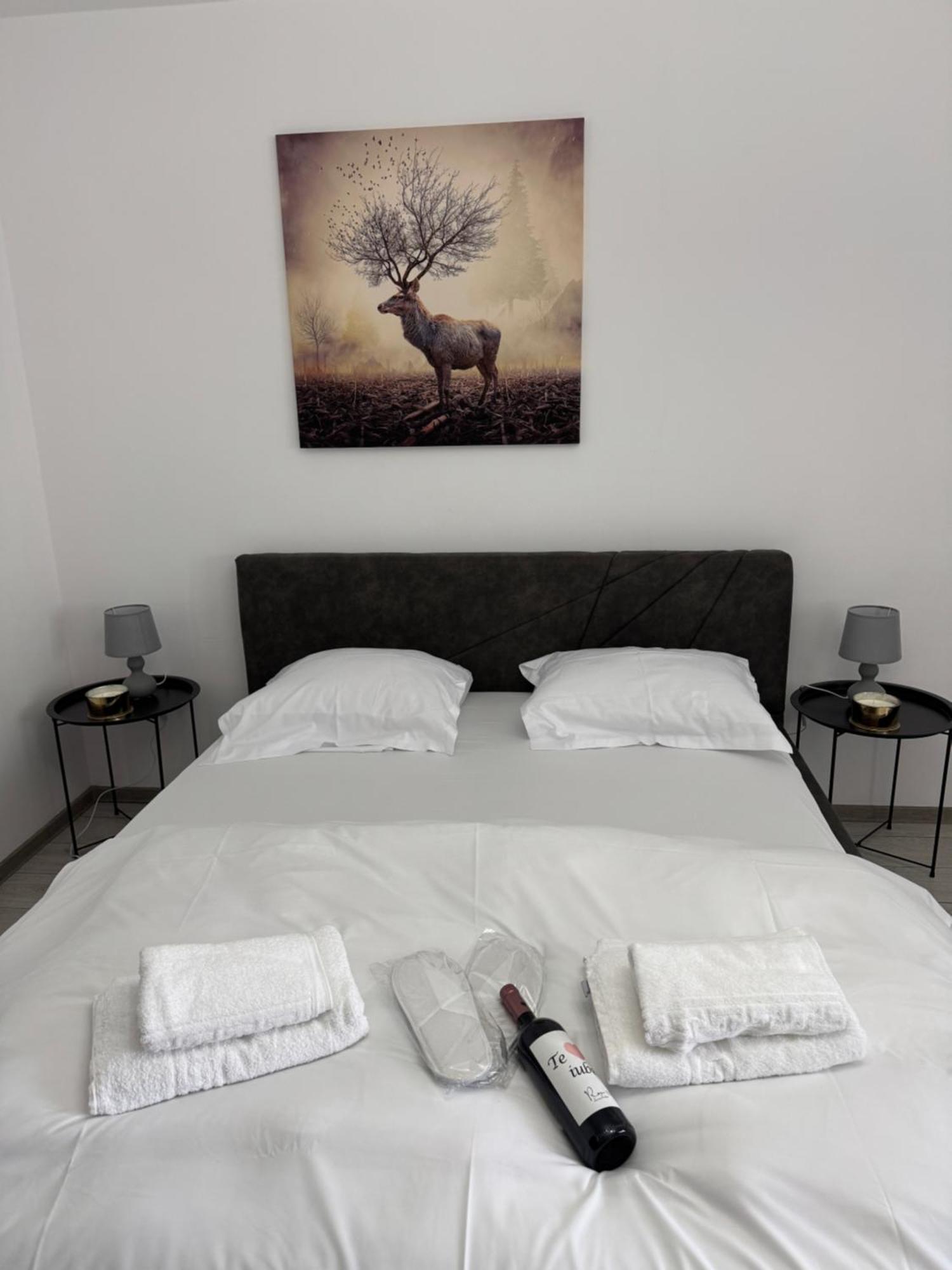 Apartament Luxury Plaza M Drumul Taberei
